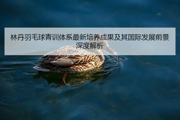 林丹羽毛球青训体系最新培养成果及其国际发展前景深度解析